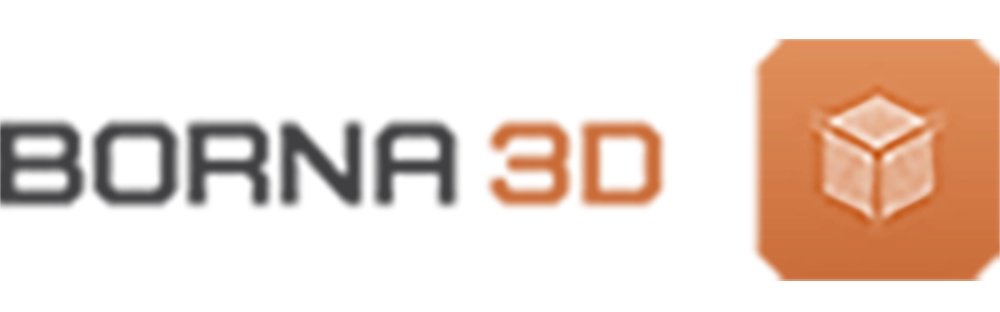 borna3d copy